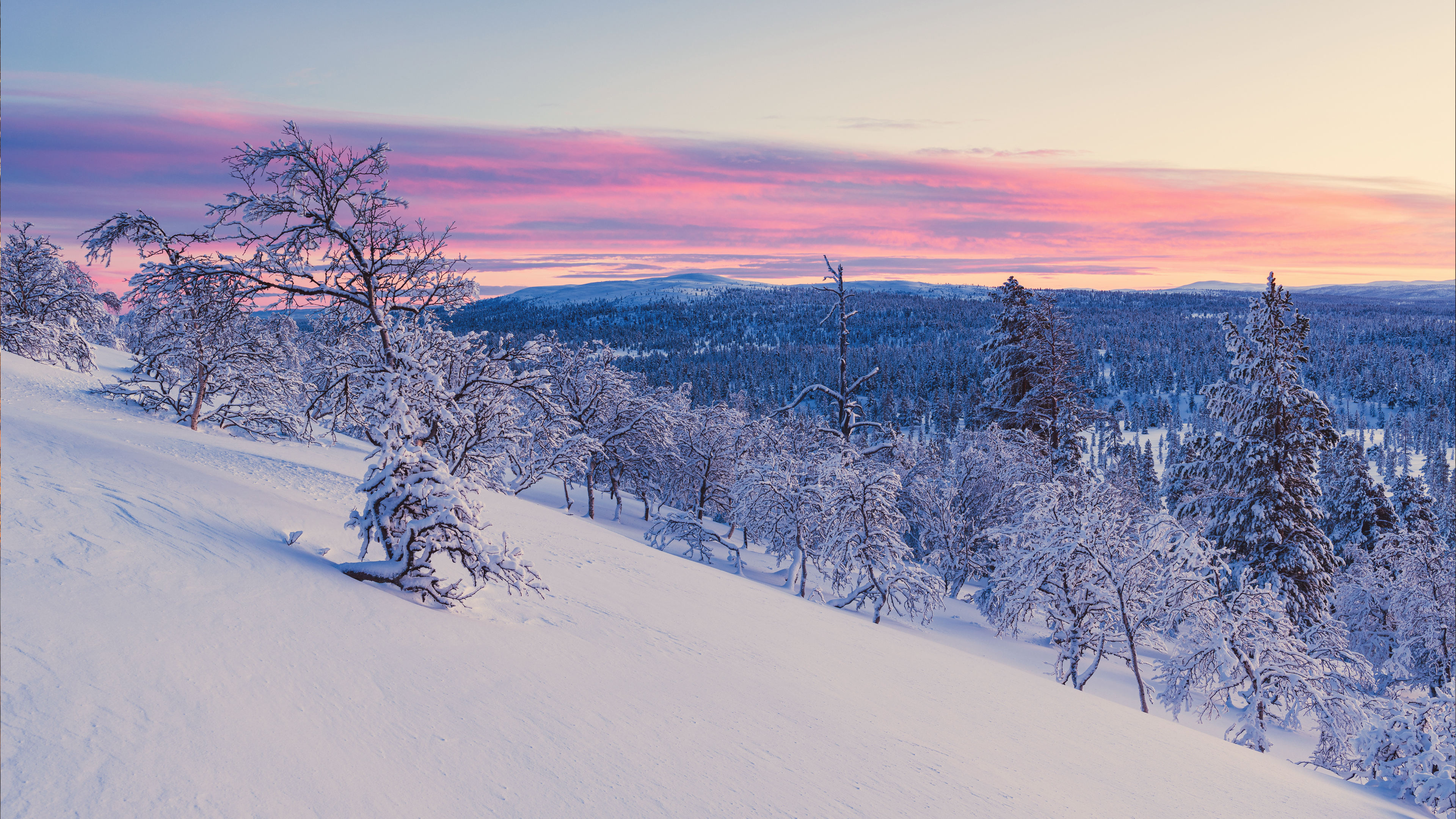 基于大模型代码生成python爬虫
